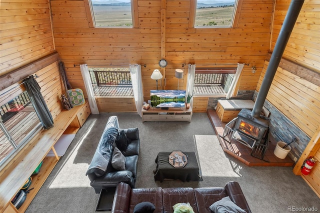 7256 Jefferson Rd, Hartsel, CO 80449 - photo 39