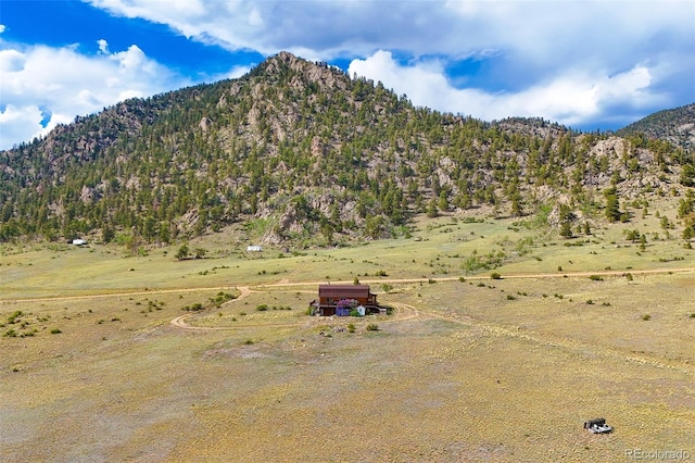 7256 Jefferson Rd, Hartsel, CO 80449 - photo 45