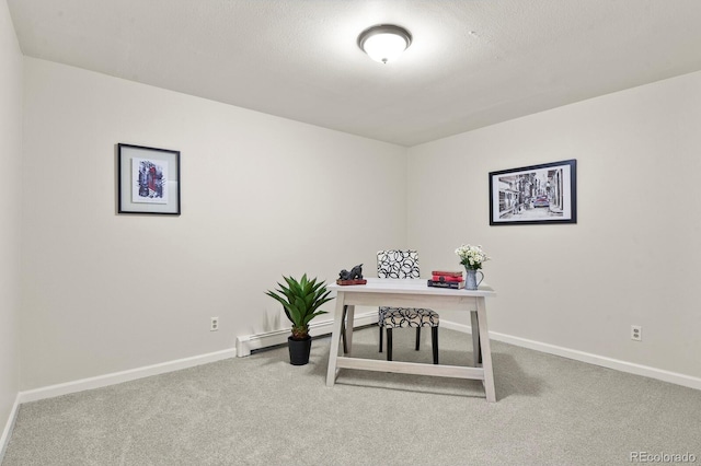 30221 Stagecoach Blvd, Evergreen, CO 80439 - home office featuring carpet floors and baseboards