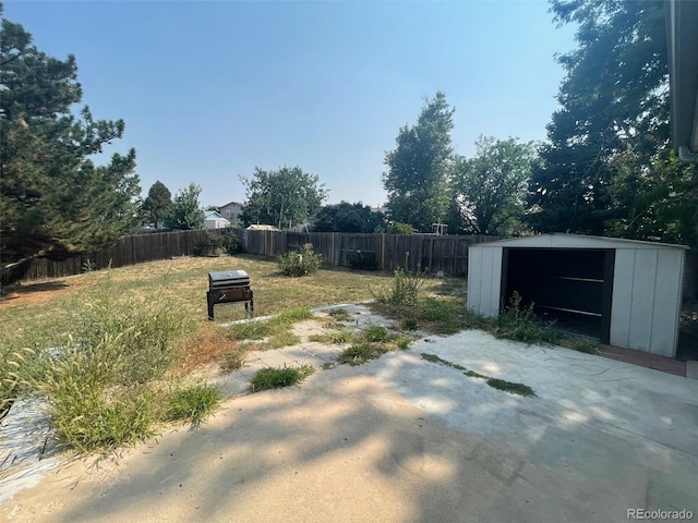 view of yard with a shed