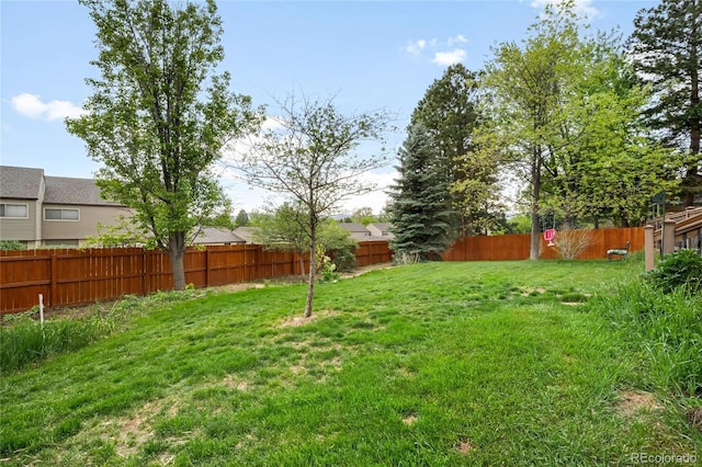 view of yard