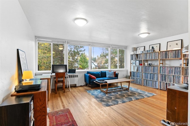 office space featuring hardwood / wood-style floors