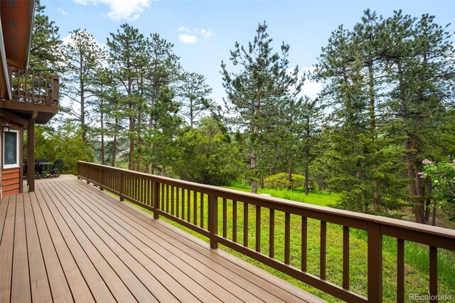 9633 Fox Valley Dr, Morrison, CO 80465 - photo 29