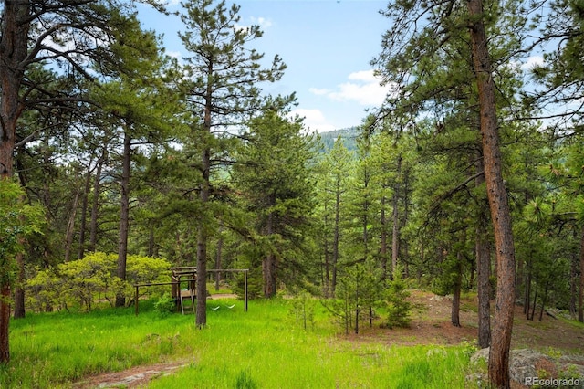 9633 Fox Valley Dr, Morrison, CO 80465 - photo 33
