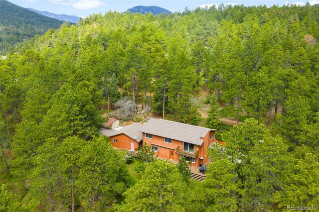 9633 Fox Valley Dr, Morrison, CO 80465 - photo 39