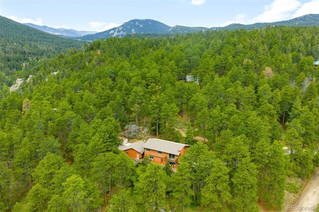 9633 Fox Valley Dr, Morrison, CO 80465 - photo 40
