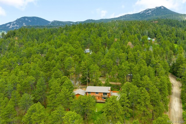9633 Fox Valley Dr, Morrison, CO 80465 - photo 41