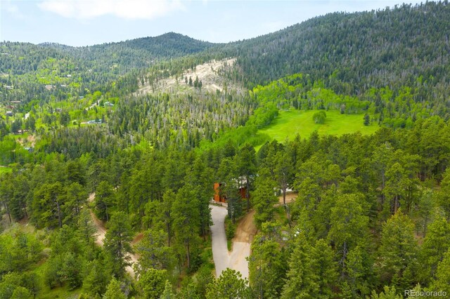 9633 Fox Valley Dr, Morrison, CO 80465 - photo 42