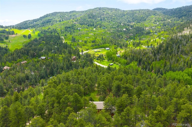 9633 Fox Valley Dr, Morrison, CO 80465 - photo 43