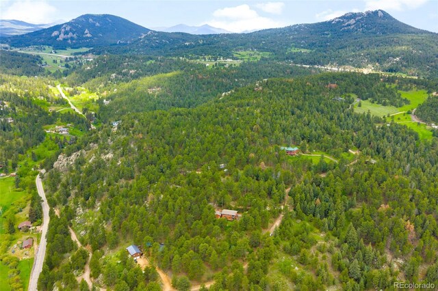 9633 Fox Valley Dr, Morrison, CO 80465 - photo 45