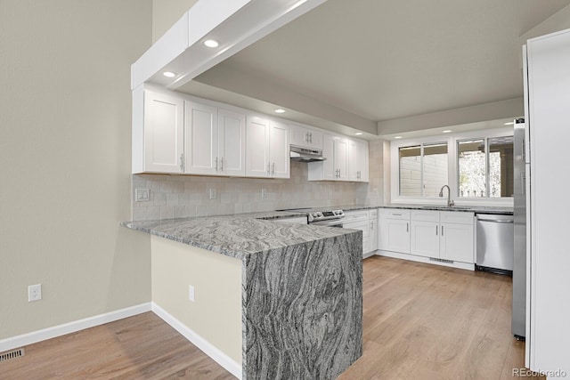 2866 Tenderfoot Hill St, Colorado Springs, CO 80906 - kitchen with a peninsula, a sink, backsplash, under cabinet range hood, and appliances with stainless steel finishes