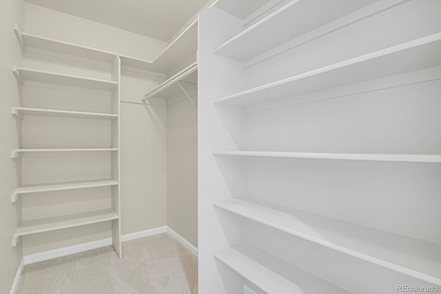 2866 Tenderfoot Hill St, Colorado Springs, CO 80906 - spacious closet featuring carpet floors