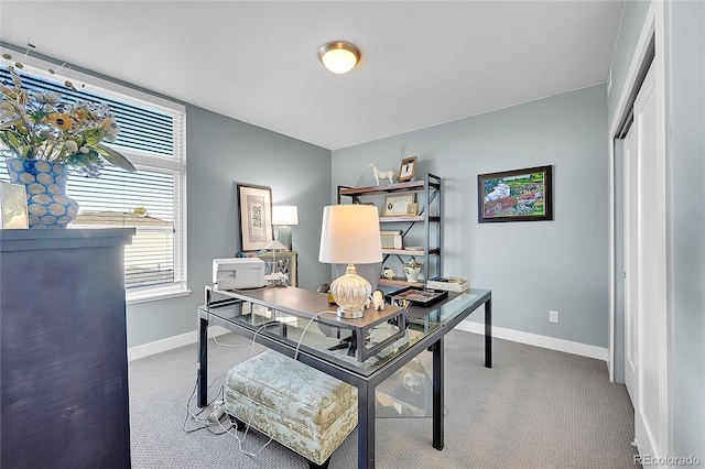 office area featuring carpet flooring