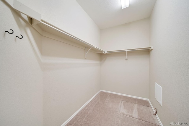 spacious closet with carpet floors