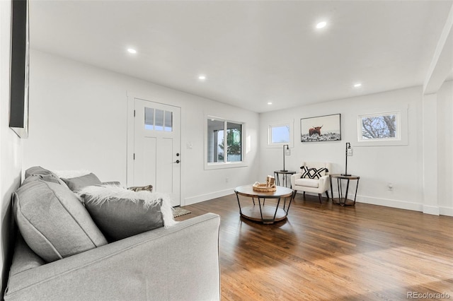 living room featuring dark wood-type flooring