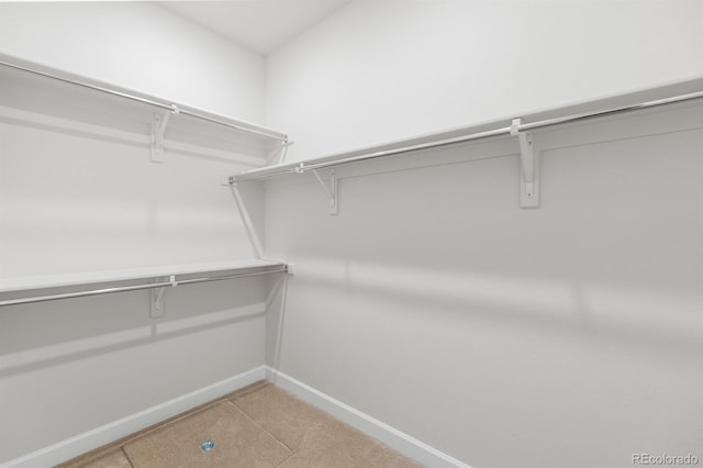 4567 Westlock St, Castle Rock, CO 80104 - photo 46