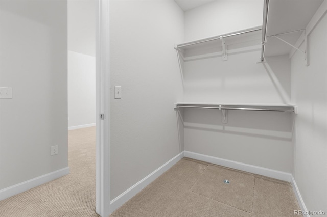 4567 Westlock St, Castle Rock, CO 80104 - photo 47