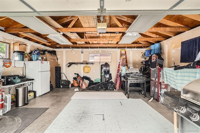 7060 Avrum Dr, Denver, CO 80221 - garage featuring freestanding refrigerator