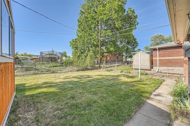 7060 Avrum Dr, Denver, CO 80221 - view of yard