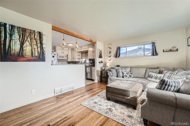 7060 Avrum Dr, Denver, CO 80221 - living area with light wood-style floors