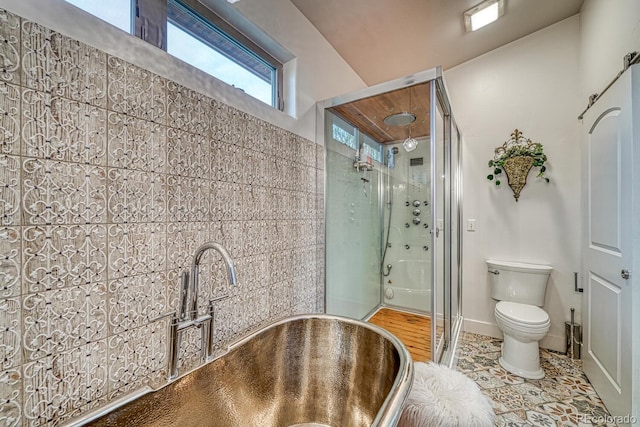 822 Yale Ave, Buena Vista, CO 81211 - bathroom featuring a shower stall, toilet, and a sink