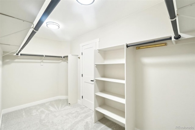 walk in closet with carpet floors