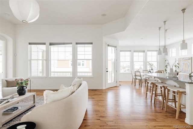 living room featuring light hardwood / wood-style flooring