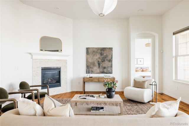 living room with wood-type flooring and a wealth of natural light