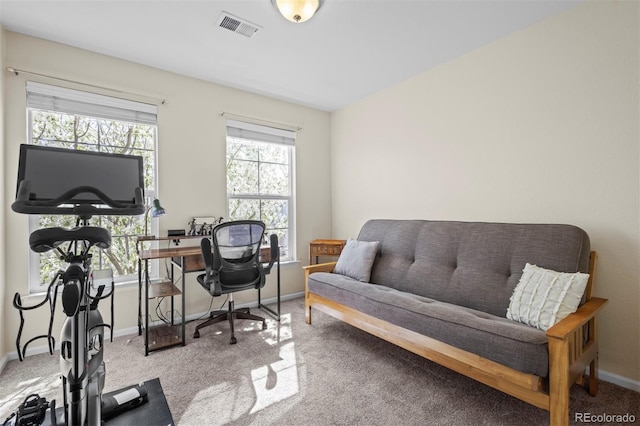 17808 E 104th Pl Unit C, Commerce City, CO 80022 - home office with carpet floors