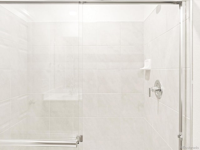 bathroom featuring a shower with shower door