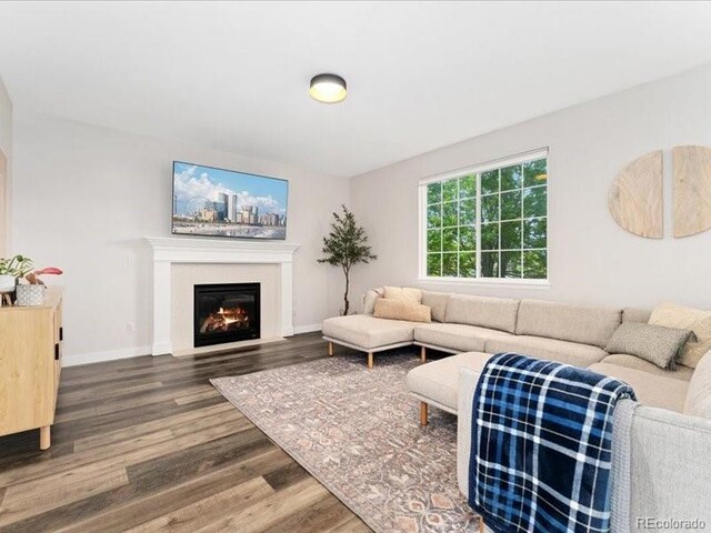 2833 Open Sky Way, Castle Rock, CO 80109 - living area with wood finished floors, a glass covered fireplace, and baseboards
