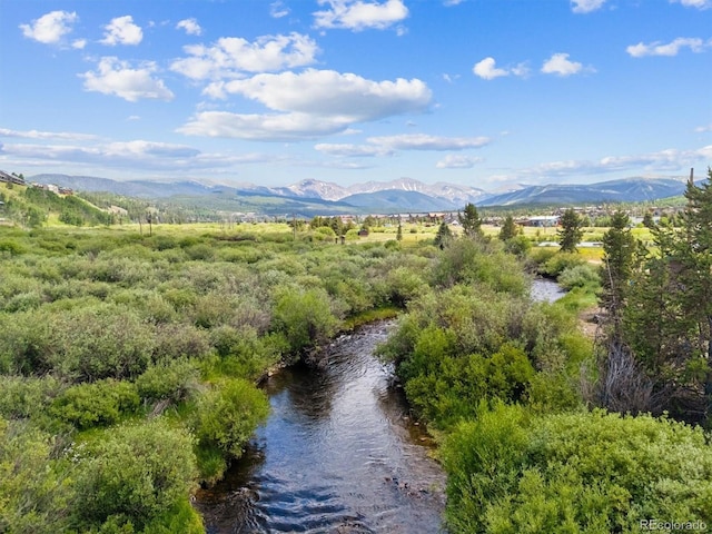 261 W Meadow Mile Unit 4, Fraser, CO 80442 - photo 27
