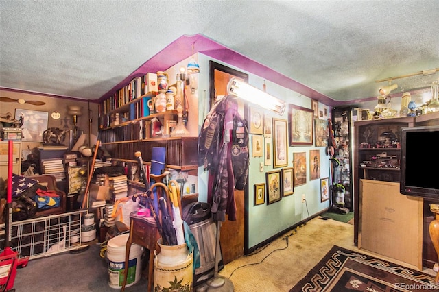 misc room featuring light carpet and a textured ceiling