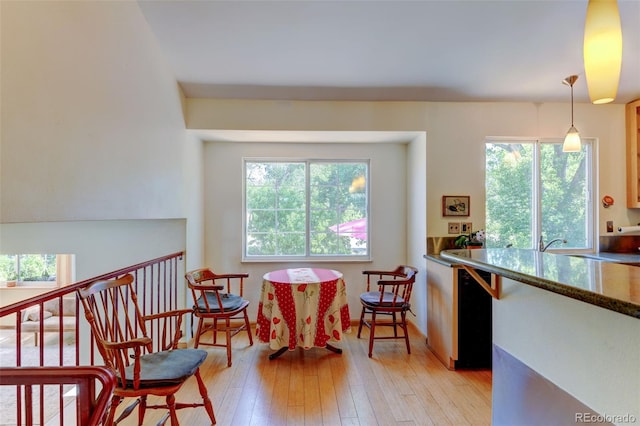 living area with light hardwood / wood-style floors