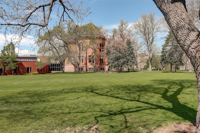 view of green lawn