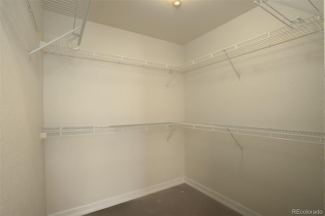 2200 S University Blvd Unit 313, Denver, CO 80210 - photo 26