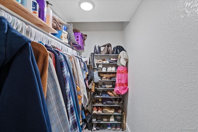 view of spacious closet
