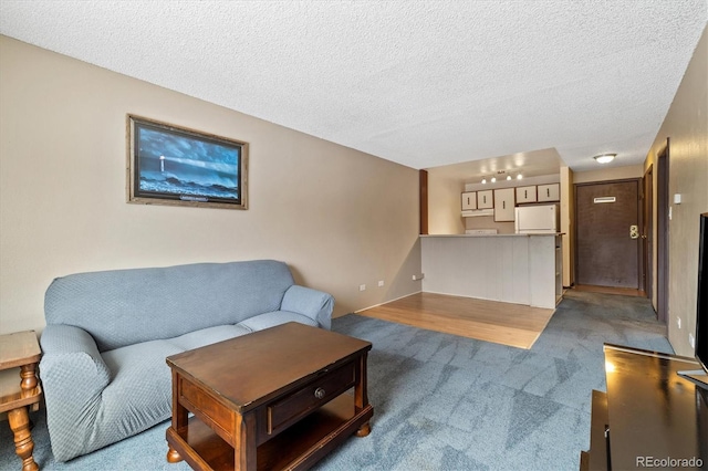 living room featuring carpet flooring and a textured ceiling