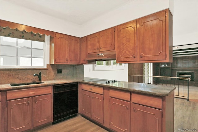 kitchen with light hardwood / wood-style floors, plenty of natural light, sink, and black appliances