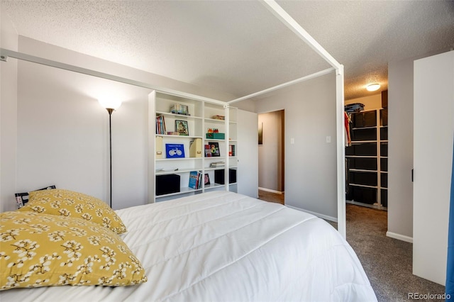 2917 S Locust St, Denver, CO 80222 - bedroom featuring a textured ceiling, carpet, baseboards, and a walk in closet