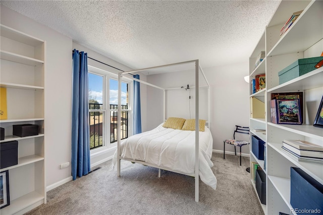 2917 S Locust St, Denver, CO 80222 - bedroom with carpet floors, a textured ceiling, and baseboards