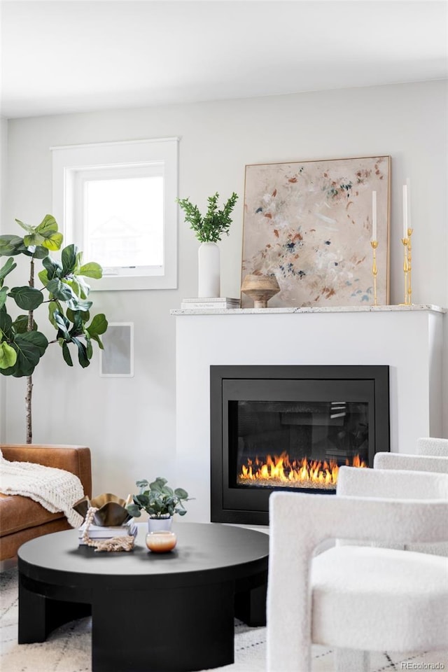 2931 W 20th Ave, Denver, CO 80211 - detailed view of a glass covered fireplace