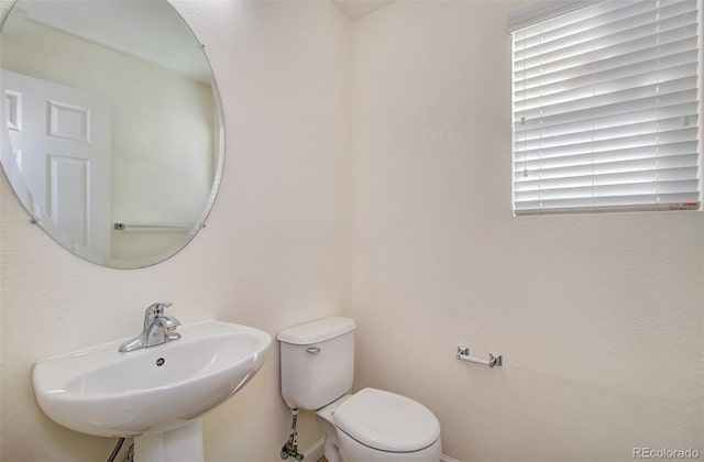 bathroom featuring sink and toilet