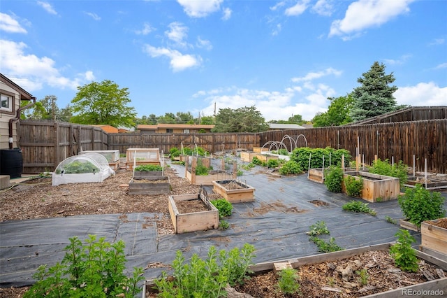 491 Campo St, Denver, CO 80221 - fenced backyard featuring a vegetable garden