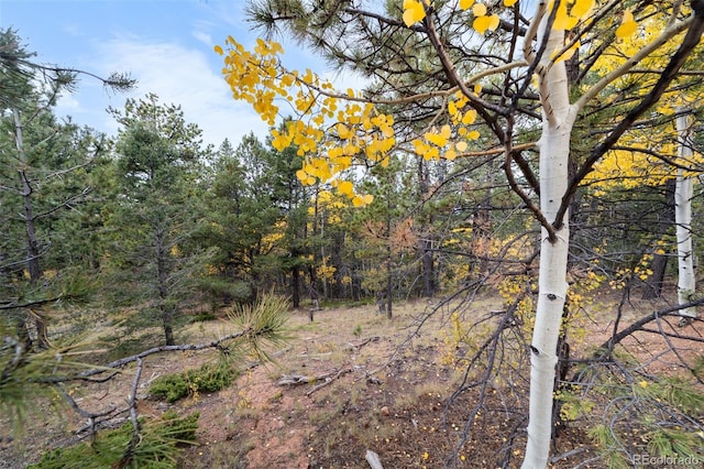 N/A May Queen Dr, Cripple Creek, CO 80813