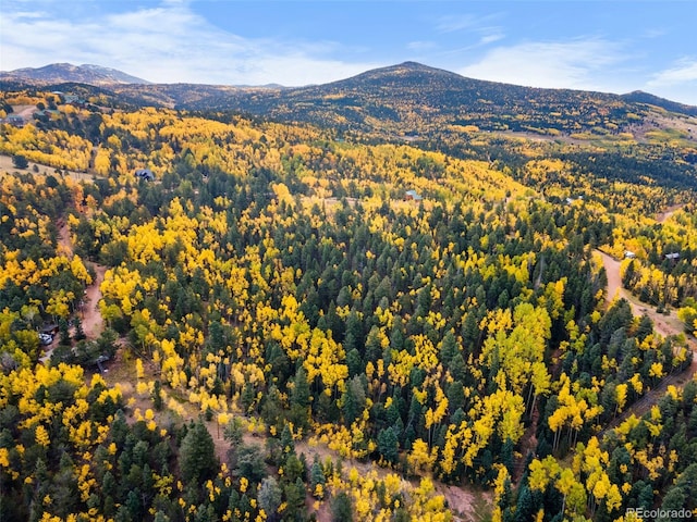 N/A May Queen Dr, Cripple Creek, CO 80813
