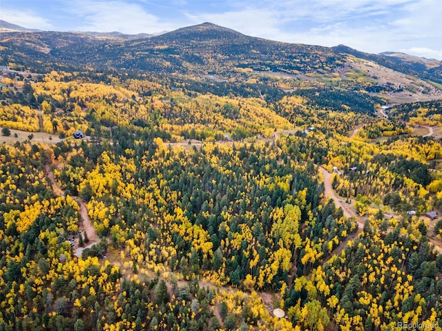 N/A May Queen Dr, Cripple Creek, CO 80813