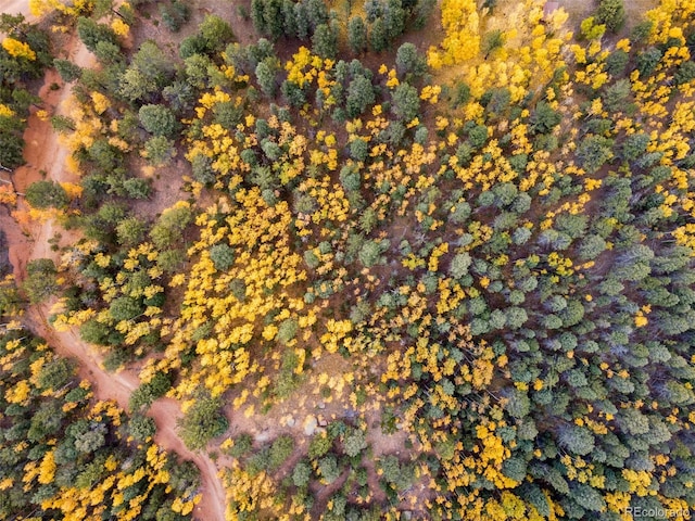 N/A May Queen Dr, Cripple Creek, CO 80813