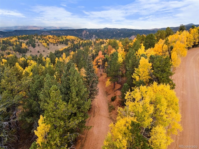 N/A May Queen Dr, Cripple Creek, CO 80813