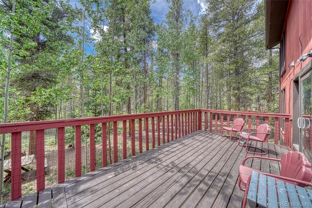 1642 Hummer Ct, Leadville, CO 80461 - photo 33